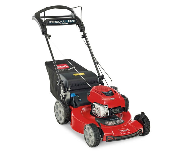 7.25 163cc briggs online & stratton engine